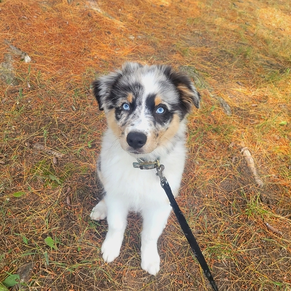 Meet your Posher, Beth - Picture 3 of 4